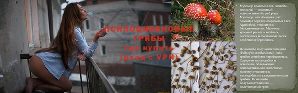 мескалин Балахна