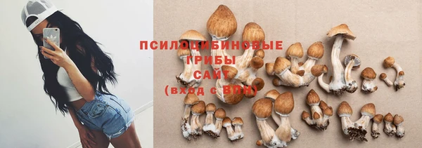 mdma Богданович