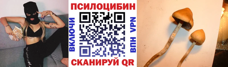 Галлюциногенные грибы MAGIC MUSHROOMS  Калязин 